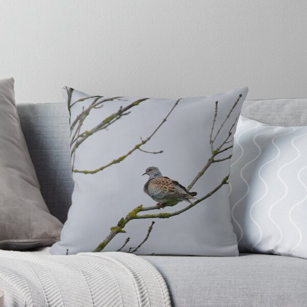 Item preview, Terrific turtle dove designed and sold by miradorpictures.