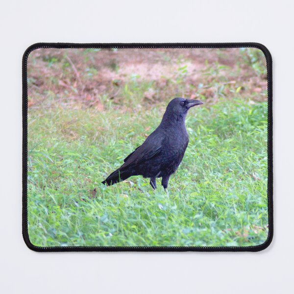 Item preview, Alert Crow designed and sold by gistinker.
