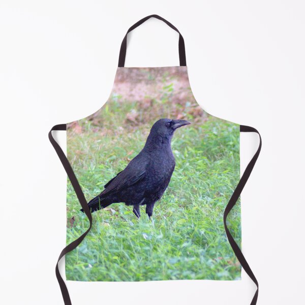 Aperçu de l'œuvre Alert Crow créée et vendue par gistinker.