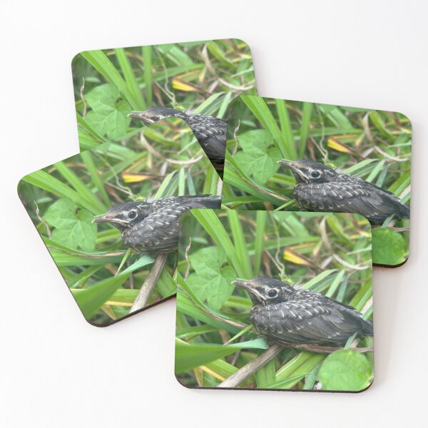 Item preview, American Robin Fledgling  designed and sold by FoxBearFrogDawg.