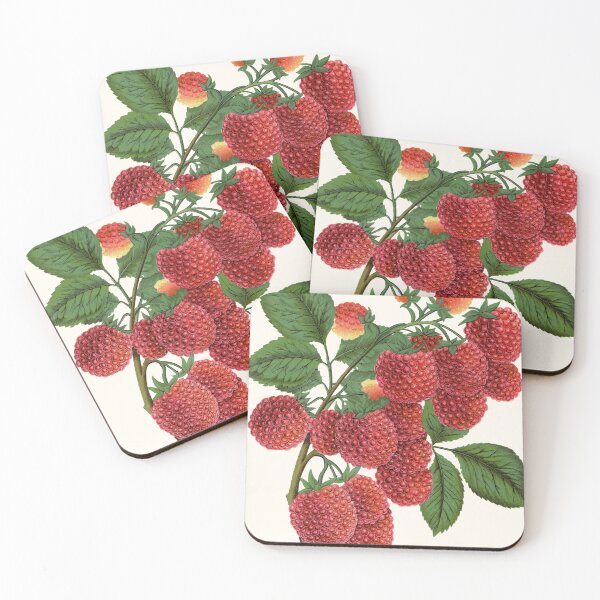 Item preview, Shaffer's Colossal Raspberry, Victorian Botanical Lithograph, 1900 designed and sold by Exhumed Archives.