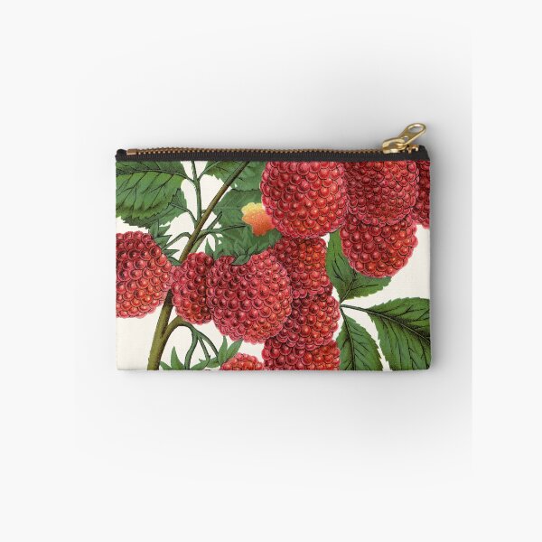 Item preview, Shaffer's Colossal Raspberry, Victorian Botanical Lithograph, 1900 designed and sold by Exhumed Archives.