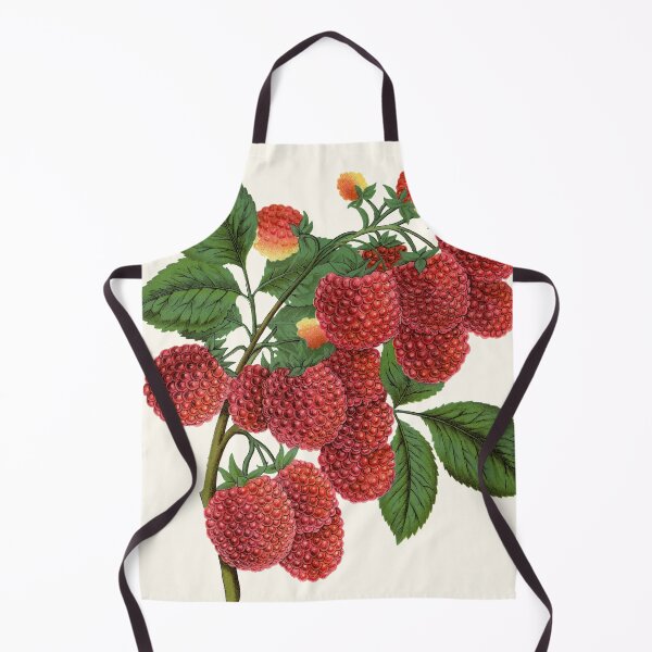 Item preview, Shaffer's Colossal Raspberry, Victorian Botanical Lithograph, 1900 designed and sold by Exhumed Archives.