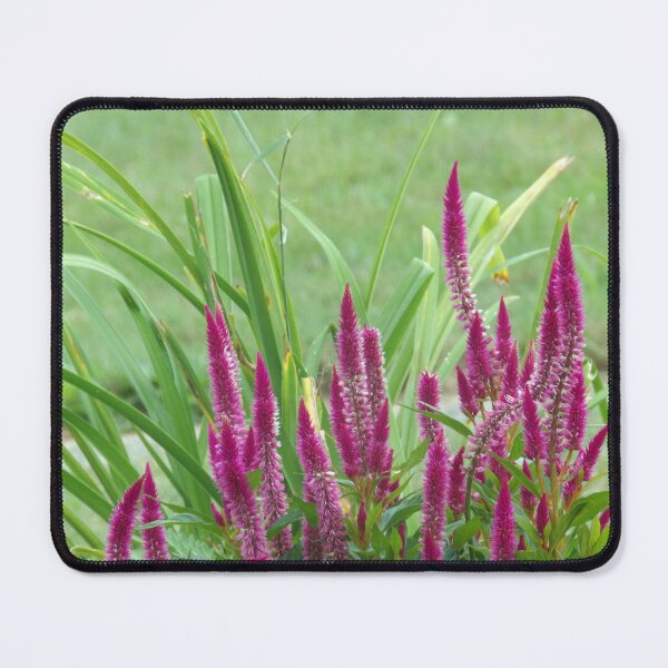 Item preview, Fuscia flowers designed and sold by Digital2dreams.