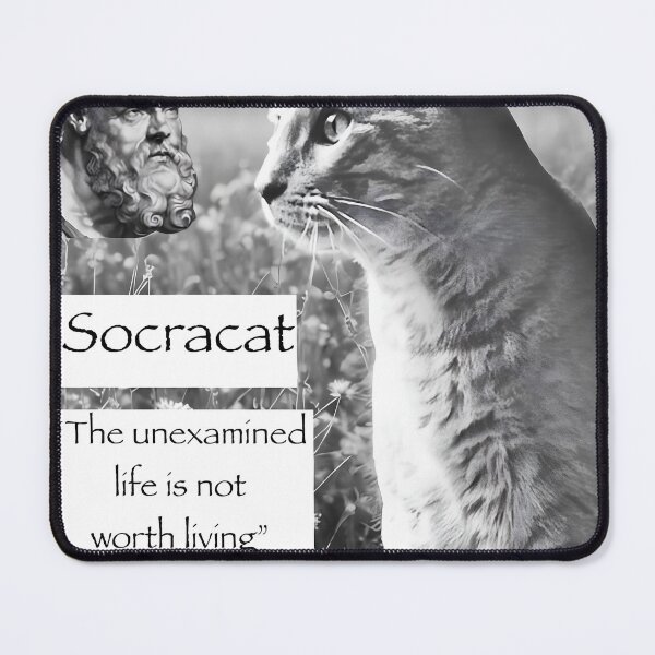 Item preview, Socracat designed and sold by CatTalkTshirts.