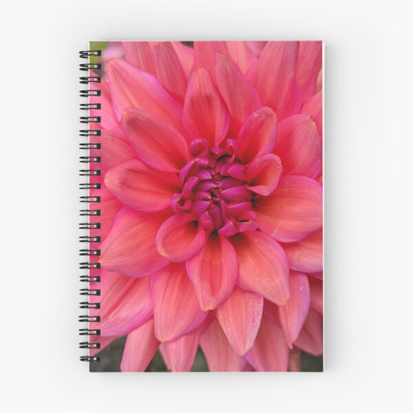 Item preview, Dahlia 'Negroni Sunset' Coral Dahlia Curled Petals, Macro Botanical Photography designed and sold by PrettyAround.