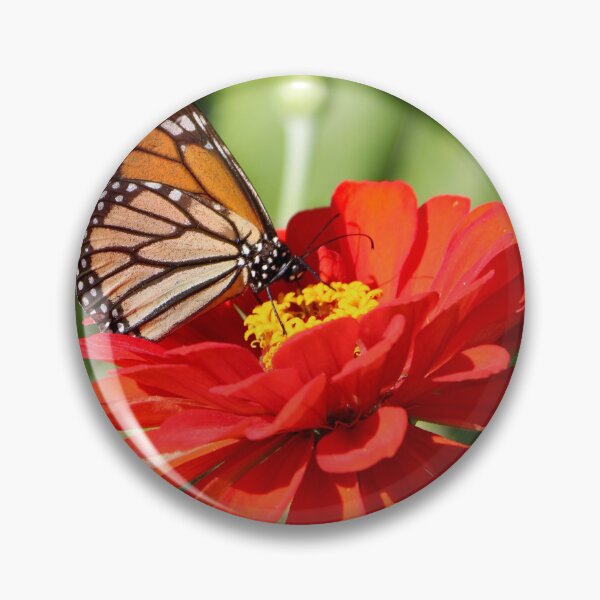 Item preview, Monarch butterfly on a zinna designed and sold by kristana.