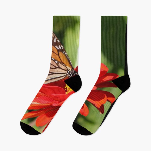 Item preview, Monarch butterfly on a zinna designed and sold by kristana.