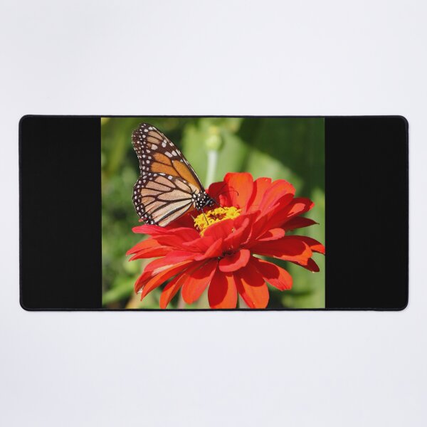 Item preview, Monarch butterfly on a zinna designed and sold by kristana.