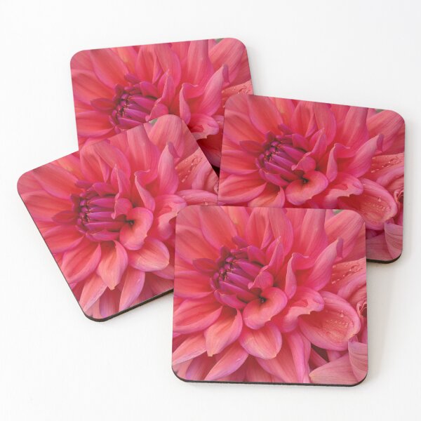 Item preview, Pink Coral Dahlia Spiral Centre, Macro Botanical Photography designed and sold by PrettyAround.