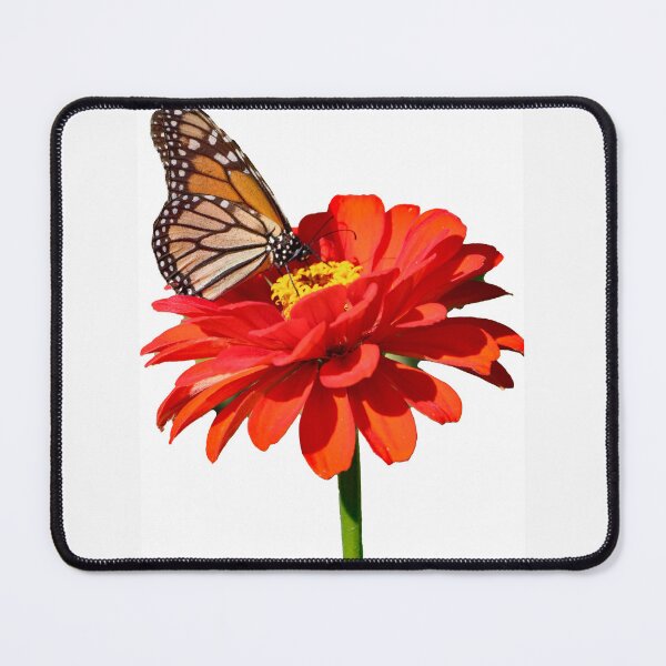 Item preview, Monarch butterfly on a zinna  designed and sold by kristana.