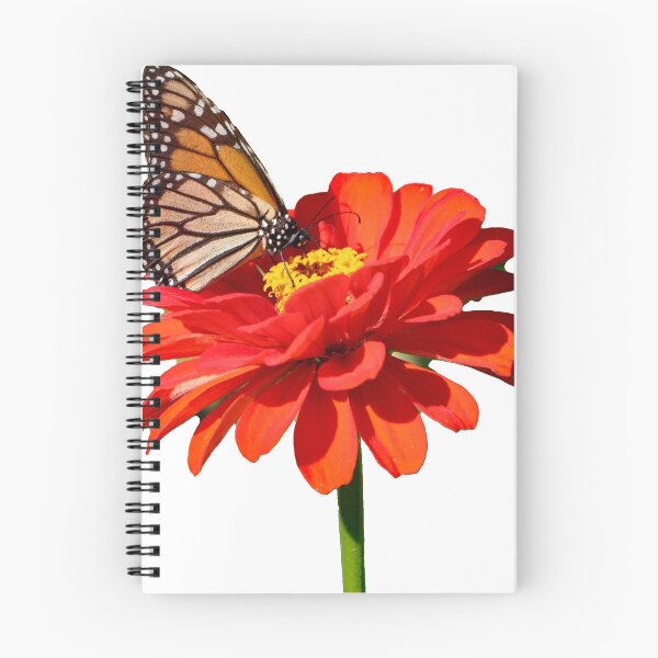 Item preview, Monarch butterfly on a zinna  designed and sold by kristana.