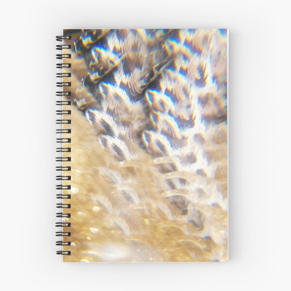 Item preview, Golden Honeycomb & Coral: Luminous Microscopic Textures & Prismatic Light Art designed and sold by ElionSolis.