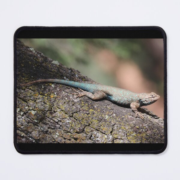 Item preview, Clark's spiny lizard photograph designed and sold by WolfRaven Creations.