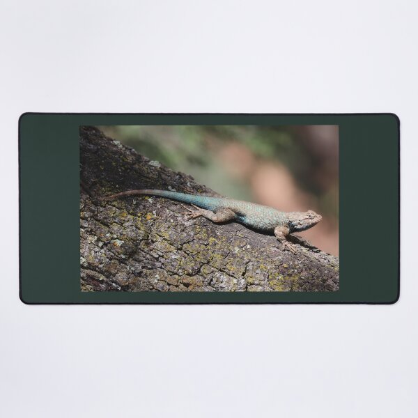 Item preview, Clark's spiny lizard photograph designed and sold by WolfRaven Creations.