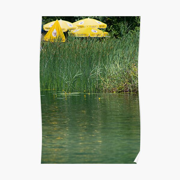 Hidden Poster