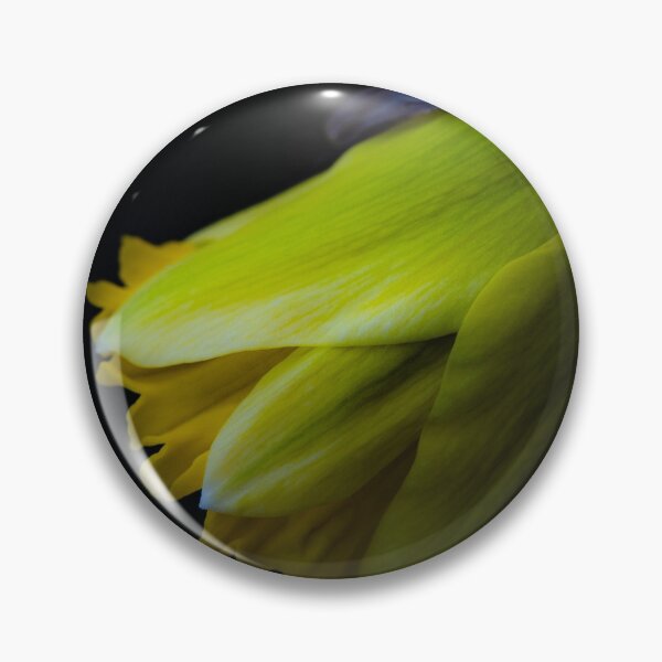 Item preview, Daffodil in Spring’s First Whisper designed and sold by Twisted Light Images.