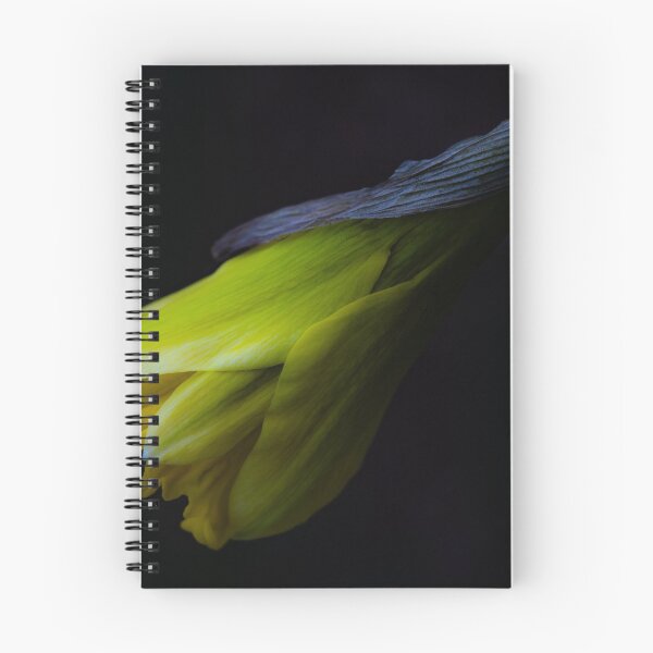 Item preview, Daffodil in Spring’s First Whisper designed and sold by Twisted Light Images.
