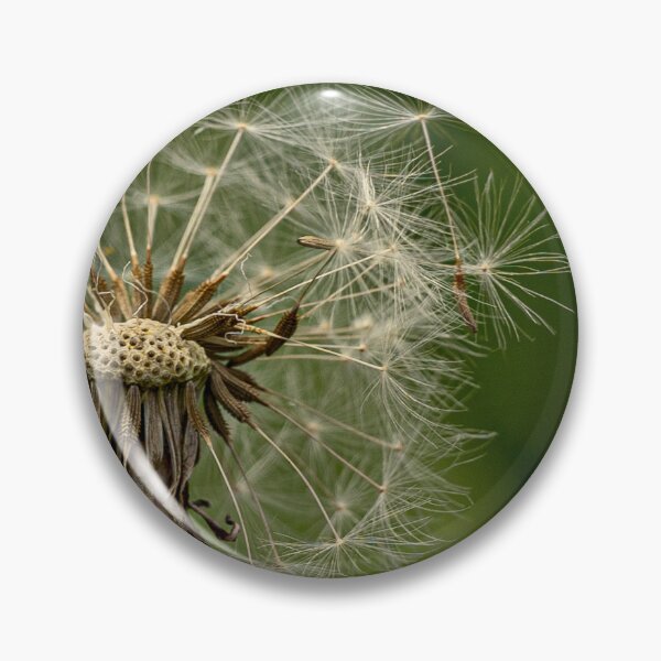 Item preview, A Dandelion in a Fragile Departure designed and sold by Twisted Light Images.