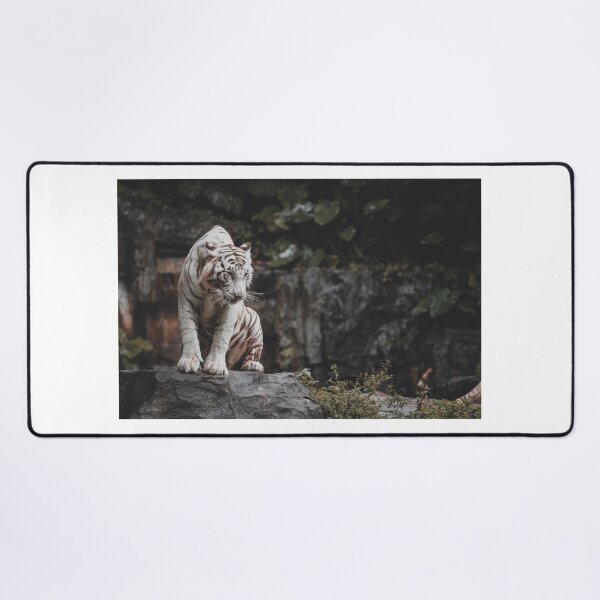 Item preview, WHITE TIGER - ANIMAL PHOTOGRAPHY - ANIMAL ART - NATURE - CATS designed and sold by santo ✝abú.
