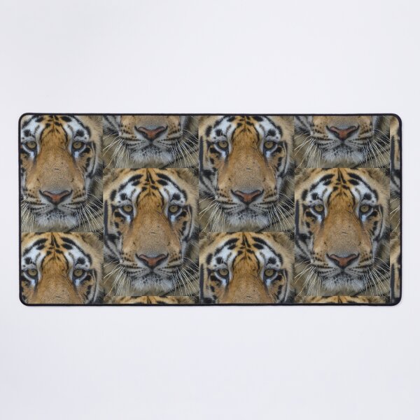 Item preview, WHITE TIGER - ANIMAL PHOTOGRAPHY - ANIMAL ART - NATURE - CATS designed and sold by santo ✝abú.