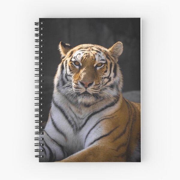 Item preview, TIGER - ANIMAL PHOTOGRAPHY - ANIMAL ART - NATURE - CATS designed and sold by santo ✝abú.
