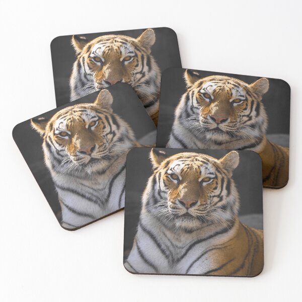 Item preview, TIGER - ANIMAL PHOTOGRAPHY - ANIMAL ART - NATURE - CATS designed and sold by santo ✝abú.