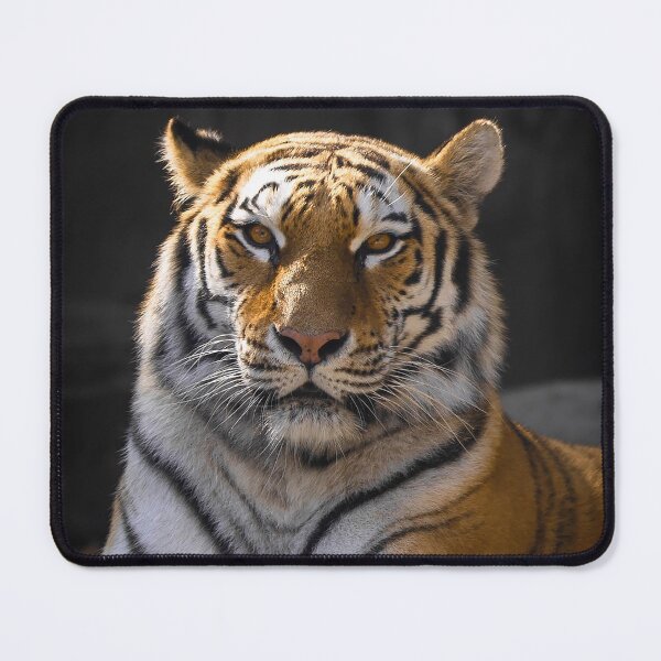 Item preview, TIGER - ANIMAL PHOTOGRAPHY - ANIMAL ART - NATURE - CATS designed and sold by santo ✝abú.