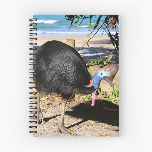 Item preview, Amazing Australian Rainforest Dinosaur Bird designed and sold by jaynerushton.