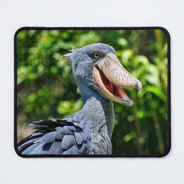 Aperçu de l'œuvre Cigogne à bec-en-sabot rieur créée et vendue par Savannah Gibbs.