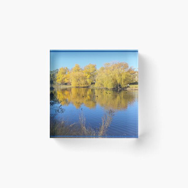 Item preview, Nature's Golden Mirror at Castlemaine designed and sold by Yolanda Caporn Art.