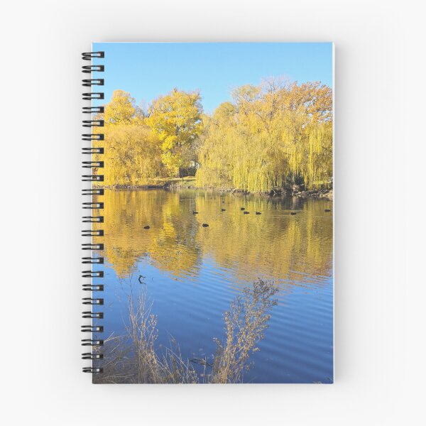 Item preview, Nature's Golden Mirror at Castlemaine designed and sold by Yolanda Caporn Art.