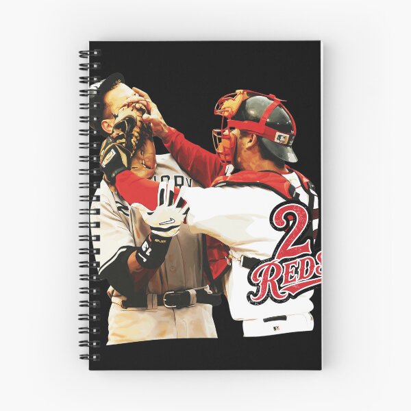 Item preview, Iconic Baseball Rivalry Punch Moment designed and sold by EDUARREYNOL.