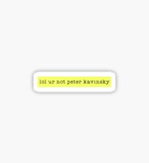 Peter Kavinsky Sticker