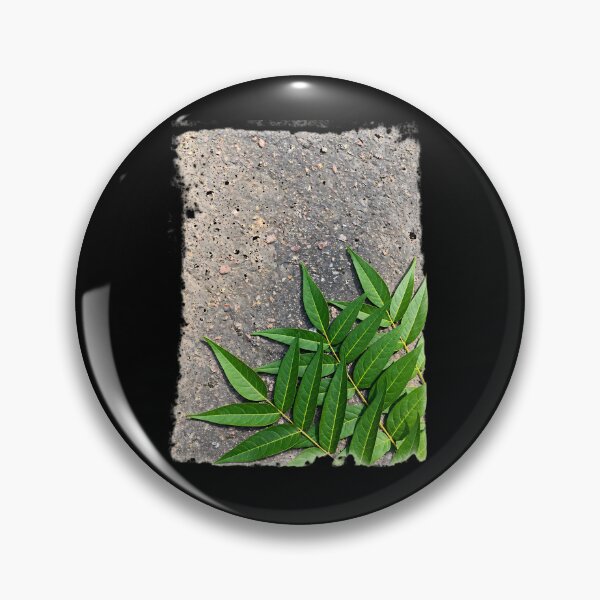 Item preview, green leaves on the pavement designed and sold by nasr-say.