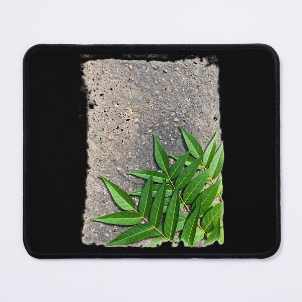 Item preview, green leaves on the pavement designed and sold by nasr-say.