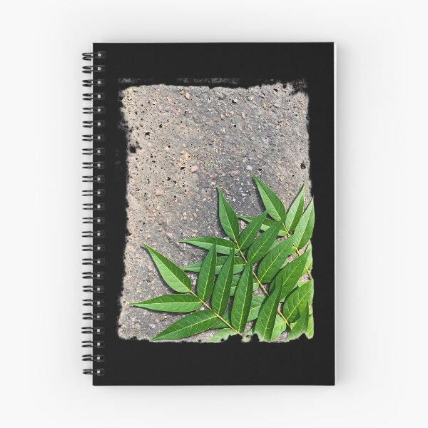 Item preview, green leaves on the pavement designed and sold by nasr-say.