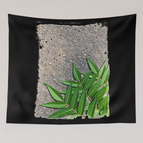 Item preview, green leaves on the pavement designed and sold by nasr-say.