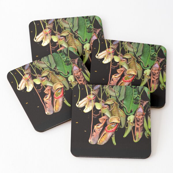 Item preview, Tropical Pitcher Plants designed and sold by Savannah Gibbs.