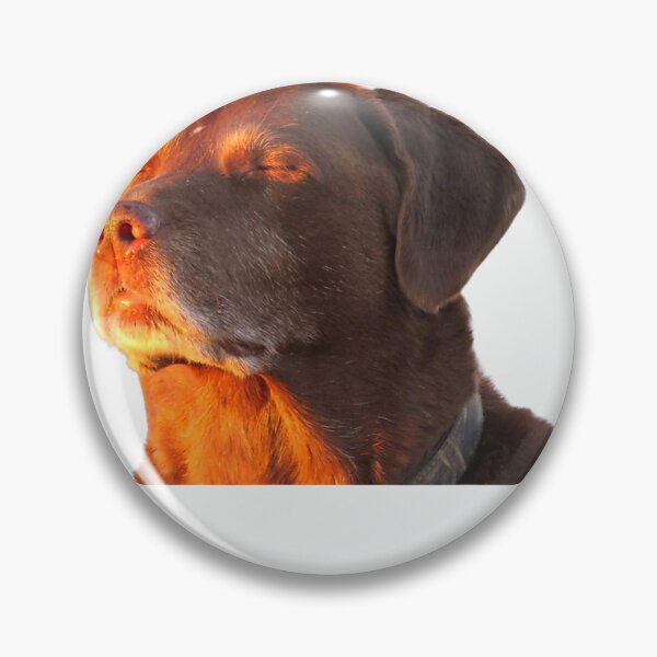 Item preview, Cooked Dog Accepting Fate Closing His Eyes Funny Dog Meme T-Shirt designed and sold by Badriiiii.