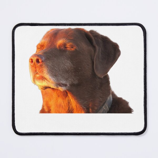 Item preview, Cooked Dog Accepting Fate Closing His Eyes Funny Dog Meme T-Shirt designed and sold by Badriiiii.