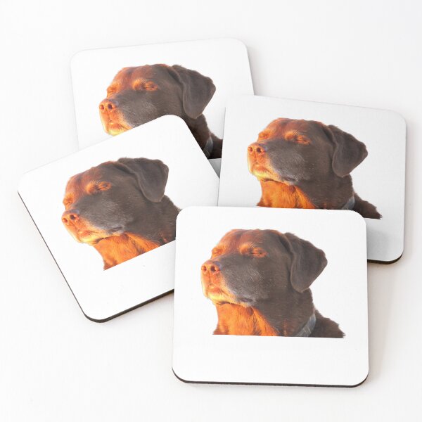 Item preview, Cooked Dog Accepting Fate Closing His Eyes Funny Dog Meme T-Shirt designed and sold by Badriiiii.