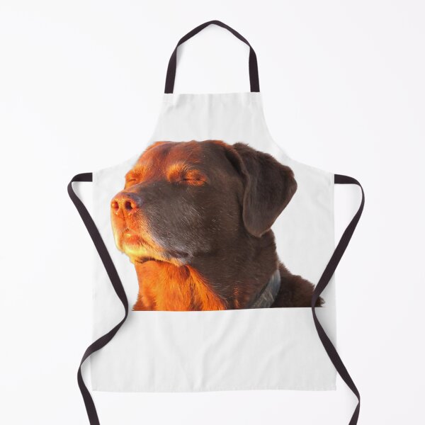 Item preview, Cooked Dog Accepting Fate Closing His Eyes Funny Dog Meme T-Shirt designed and sold by Badriiiii.