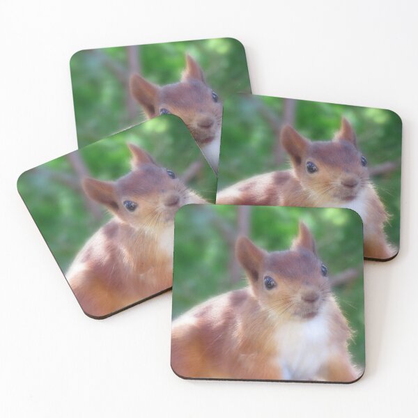 Item preview, The Cutest Squirrel In Finland designed and sold by JonnaHurmerinta.