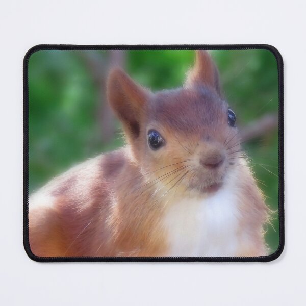 Item preview, The Cutest Squirrel In Finland designed and sold by JonnaHurmerinta.