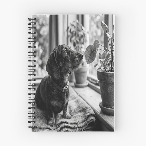 Item preview, Curious dachshund studying a plant's leaf designed and sold by Solomon-Ent-144.