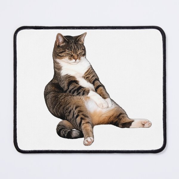 Item preview, Sleepy cat meme designed and sold by IceCreamSmile.