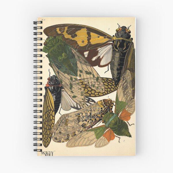 Item preview, Plate 2 designed and sold by The Ravens Ballad.