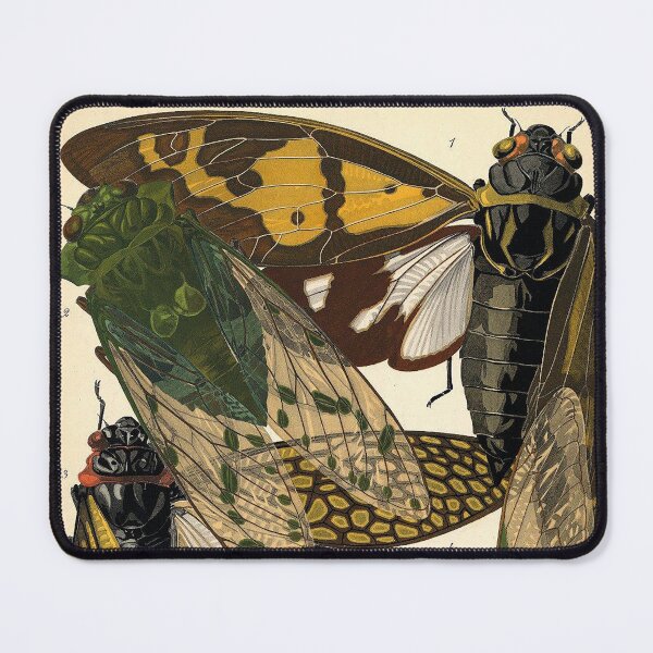 Item preview, Plate 2 designed and sold by The Ravens Ballad.