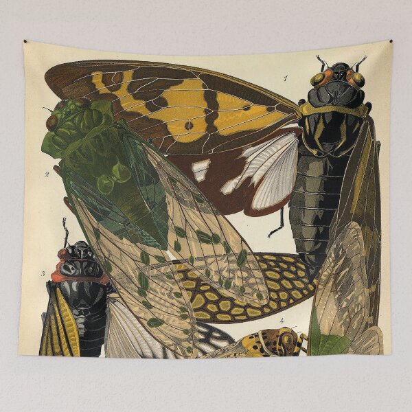 Item preview, Plate 2 designed and sold by The Ravens Ballad.